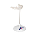 Human Hyoid Bone Model, on Stand - 3B Smart Anatomy