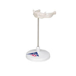 Human Hyoid Bone Model, on Stand - 3B Smart Anatomy