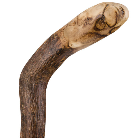 Brazos Walking Sticks™ Knob Root Cane - 34"- 502-3000-0127