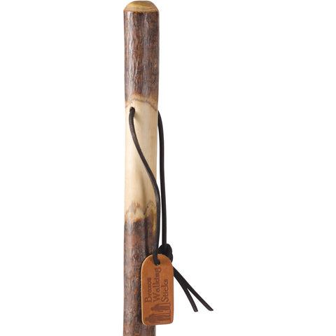 Brazos Walking Sticks™ Twisted American Hardwood Walking Stick - 55"- 602-3000-1391