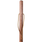Brazos Walking Sticks™ Twisted Trekker Walking Stick