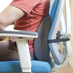 DMI Relax-a-Bac™ Lumbar Back Cushion with Insert and Strap