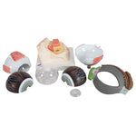 Human Eye Model, 5 times full-size, 8 part - 3B Smart Anatomy