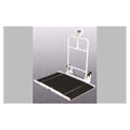Detecto Scales Co Scale Wheelchair 800Lb Digital Eachch - 6550