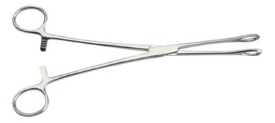 Graham Field Foerster Sponge Forceps ( Packaging - Each of 1 )