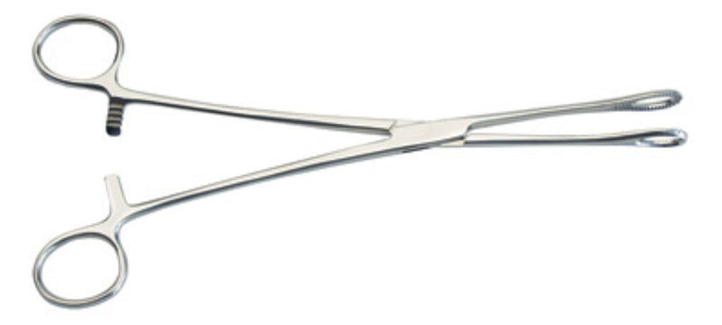 Graham Field Foerster Sponge Forceps ( Packaging - Each of 1 )
