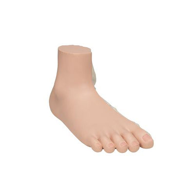 Flat Foot (Pes Planus) Model - 3B Smart Anatomy