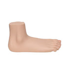 Flat Foot (Pes Planus) Model - 3B Smart Anatomy