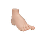 Hollow Foot (Pes Cavus) Model - 3B Smart Anatomy