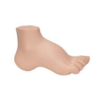 Hollow Foot (Pes Cavus) Model - 3B Smart Anatomy