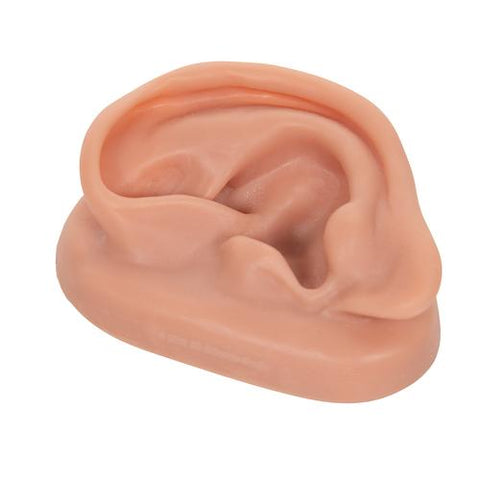 3B Acupuncture Ear, left