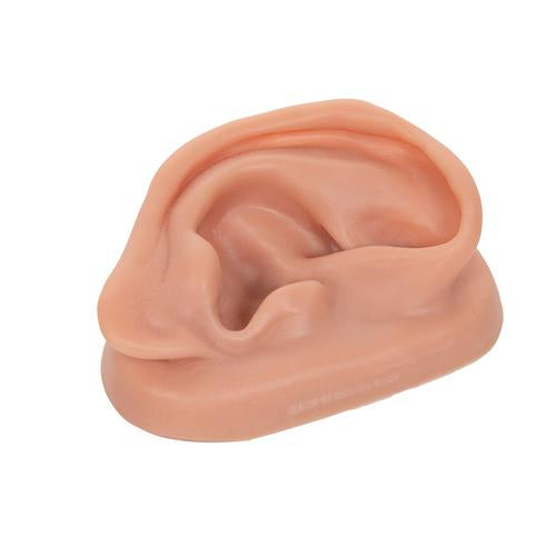 3B Acupuncture Ear, right