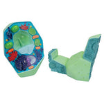 Plant cell model