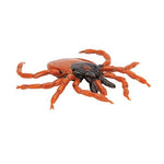 Castor Bean Tick (Ixodes ricinus), Model