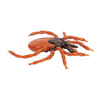 Castor Bean Tick (Ixodes ricinus), Model