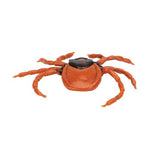 Castor Bean Tick (Ixodes ricinus), Model