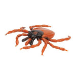 Castor Bean Tick (Ixodes ricinus), Model