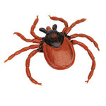 Castor Bean Tick (Ixodes ricinus), Model