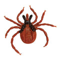 Castor Bean Tick (Ixodes ricinus), Model