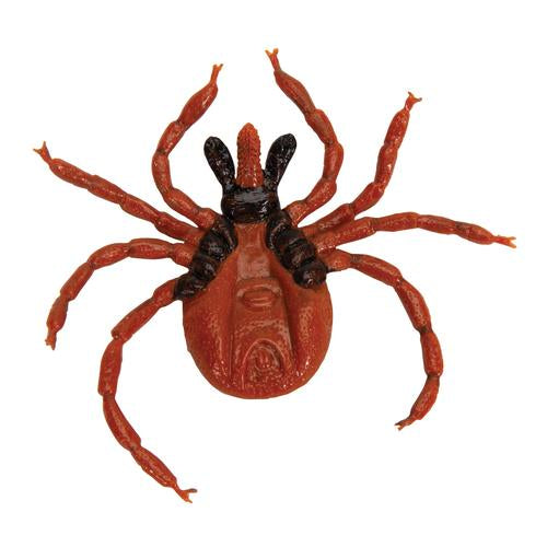 Castor Bean Tick (Ixodes ricinus), Model