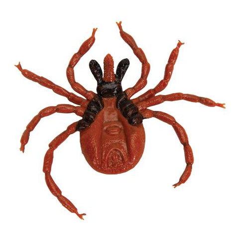 Castor Bean Tick (Ixodes ricinus), Model