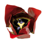 Tulip Flower (Tulipa gesneriana) Model