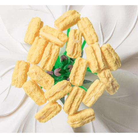 Apple Blossom (Malus pumila), Model