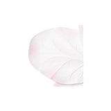 Apple Blossom (Malus pumila), Model