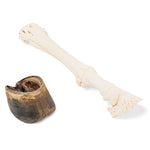 Horse (Equus ferus caballus), carpal bones, specimen