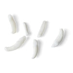 Tooth Types of Different Mammals (Mammalia)