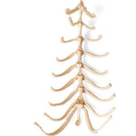 Dog (Canis lupus familiaris), sternum