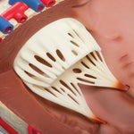 Giant Human Heart Model, 8 times Life-Size - 3B Smart Anatomy