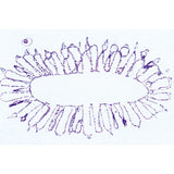 Coelenterata and Porifera - French Slides