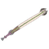 Cephalochordata (Acrania) - German Slides