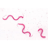 Bacteria, Basic Set - French