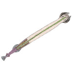 Invertebrata, Supplementary Set - Spanish