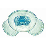 Phanerogamae, Supplementary Set - Spanish