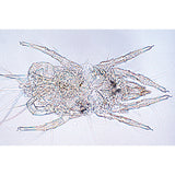 Air Pollution and Allergens - French