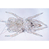 Air Pollution and Allergens - Spanish