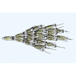 The Microscopic Life in the Water, Part II - French