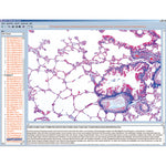 CD with micro images for school series B