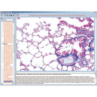CD with micro images for school series B