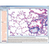 CD with micro images for school series B