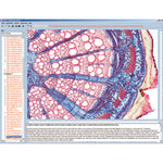 CD with micro images for school series B
