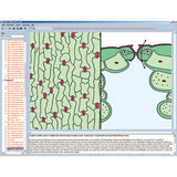 CD with micro images for school series B