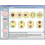 CD with micro images for school series B