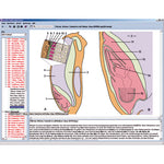 CD with micro images for school series B