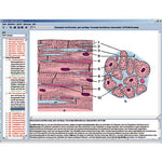 CD with micro images for school series B
