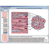 CD with micro images for school series B
