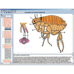 CD with micro images for school series B